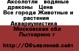 Аксолотли / водяные драконы › Цена ­ 500 - Все города Животные и растения » Аквариумистика   . Московская обл.,Лыткарино г.